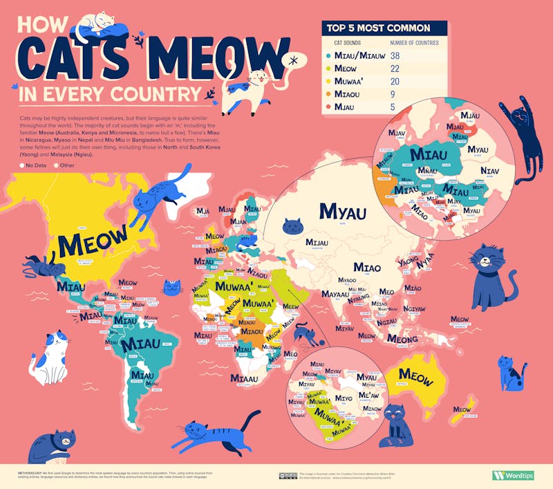 How Cats Meow in Every Country World Map